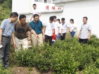 河南今后15天最新天气，冷热交替频繁，需注意防寒与出行安全