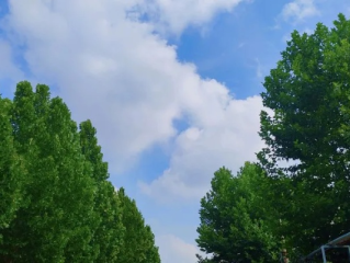 博兴天气，小城天空的四季叙事
