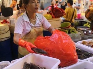 三亚气温最近15天查询，热带海滨城市的冬日暖阳之旅