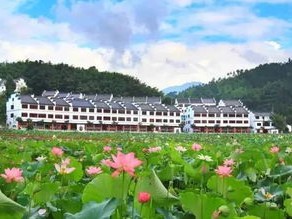 沈丘天气，一座小城的四季呼吸