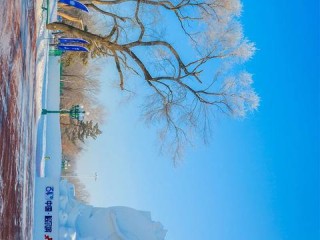 哈尔滨天气预报15天，冰城四季变幻，出行前必看指南