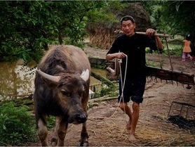 网上斗牛赚钱-临沂未来15天天气预报，春日气候多变，出行需注意防范