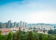 枣庄天气，一座城的四季呼吸