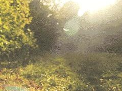 十堰天气预报7天（十堰天气预报7天天预报学校）