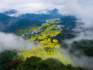 秒速彩票线路导航-婺源天气预报15天，提前规划，尽享徽州春光