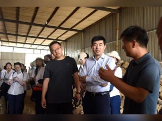 临清天气预报，这座运河古城的冷暖，都藏在天光云影里
