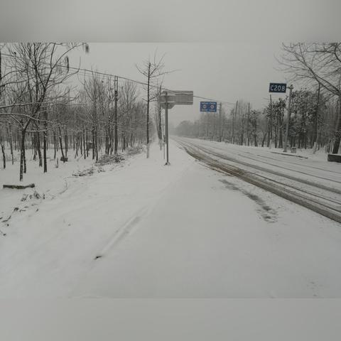 西华县天气预报(西华县天气预报15天_西华县天气预报15天查询) 西华县天气预报(西华县天气预报15天_西华县天气预报15天查询)