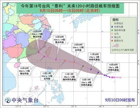 一张图看穿风向，台风路径实时图，如何成为我们的数字护身符