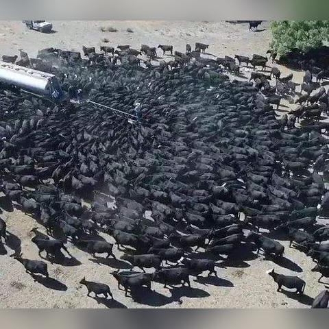 30天天气预报,是科学预言还是概率游戏? 30天天气预报,是科学预言还是概率游戏?