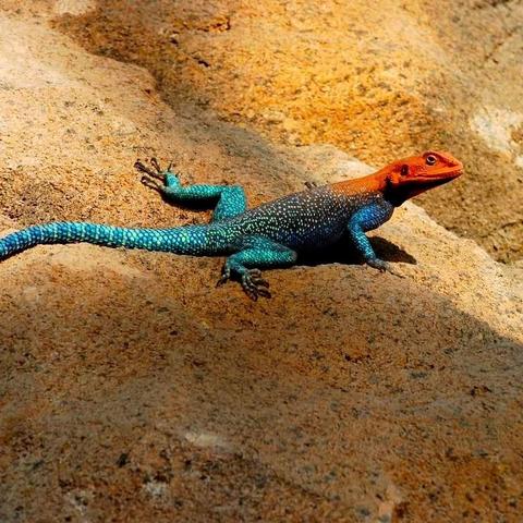 新的台风胚胎即将生成，气象预警与全球变暖下的风暴新常态