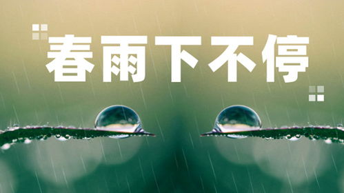 春雨天气预报,一场云端之上的温柔计划 春雨天气预报,一场云端之上的温柔计划