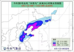 风雨守望者—中国中央气象台台风网如何守护万家平安