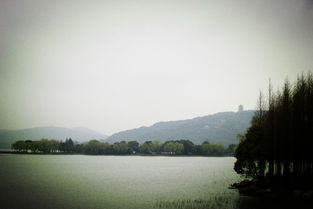 从化天气,岭南的温润诗篇 从化天气,岭南的温润诗篇