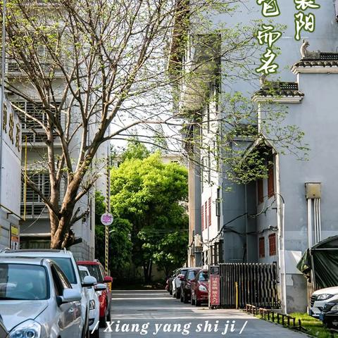 竞彩足球app官方正版-襄阳市天气预报,一场3℃的小雪,让千年古城又冷又美 竞彩足球app官方正版-襄阳市天气预报,一场3℃的小雪,让千年古城又冷又美