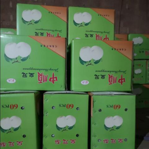 皇冠传统直播-风雨十五日，一场与天气预报的漫长对话