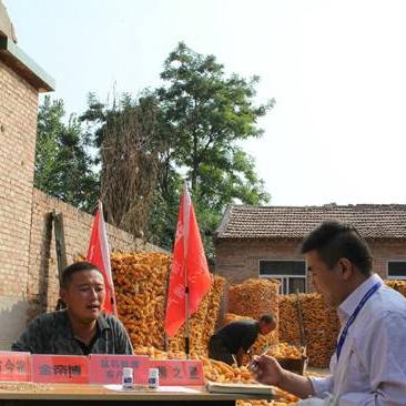 德州30天天气预报,精准掌握未来一个月的气候变化与生活指南 德州30天天气预报,精准掌握未来一个月的气候变化与生活指南