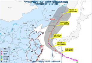 上海台风，风雨中的城市韧性