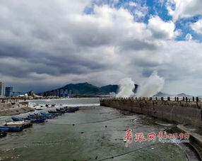 青岛今日天气，多云转晴，海风轻拂，宜出行
