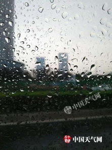 明天的特大暴雨，是一场不会撑伞的告别