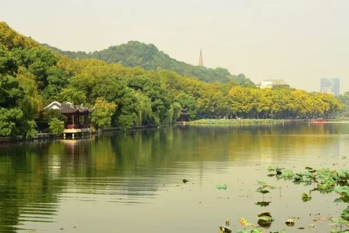 扬州明后二天天气，晴暖持续，春意渐浓