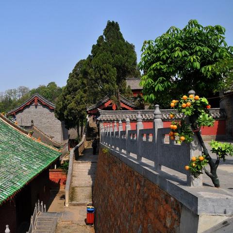 狂风过境，河南迎大风天气，一场与自然的对峙与思考