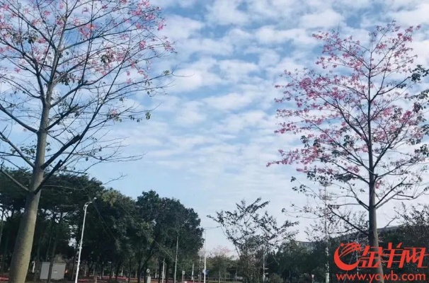 广东广州明天天气,暖阳微风,适宜出行 广东广州明天天气,暖阳微风,适宜出行