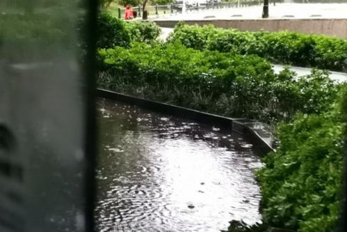 在监利的雨里,我听见时光落地的声音 在监利的雨里,我听见时光落地的声音