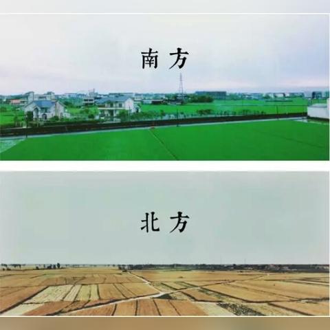 今年雨水情况怎样,从南涝北旱到极端频发,气候变局下的生存思考 今年雨水情况怎样,从南涝北旱到极端频发,气候变局下的生存思考